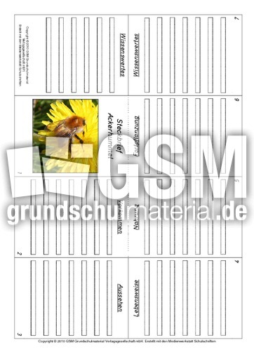 Faltbuch-Ackerhummel.pdf